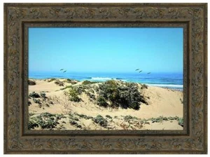 Five Birds Over Oso Flaco Dunes by Floyd Snyder Seascape Framed Canvas Print - Bild 1 von 2