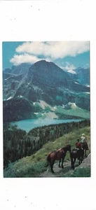 Grinnell See und Gletscher Mid Century Postkarte / Montana / Pferde Trail Ritt - Bild 1 von 2