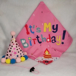 It's My Birthday Party Hat & Bandana/ Scarf For Your Pet Party Decor Accessories - Picture 1 of 10