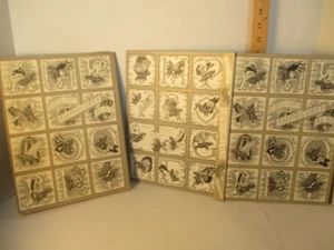 art EDWARD GOREY AMPHIGOREY ALSO 1983 hc + dj 1st ed Congdon & Weed - Picture 1 of 15