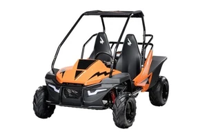 HAMMERHEAD MUDHEAD SE OFF-ROAD BUGGY 208CC - Picture 1 of 3