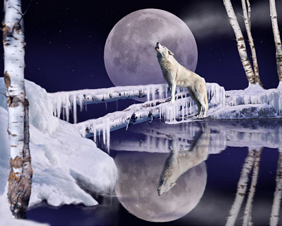 Open Water Panel Fabric Wolf Moon Snow 35.5"X44" Digital Cotton David Textiles - Image 1 of 1