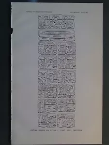 Quirigua Guatemala Maya Glifo Lato Est Stela F Mesoamericano 1915 - Foto 1 di 1