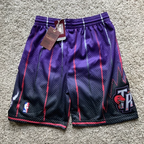 Toronto Raptors Mitchell & Ness Youth L 14/16 Swingman Shorts Hardwood Classics Cover