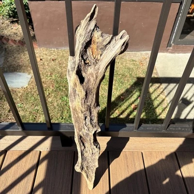 天然漂流木 24x3.5x5.5 独特形式带 Divots 水族箱露台装饰 — 第 1/4 张图片