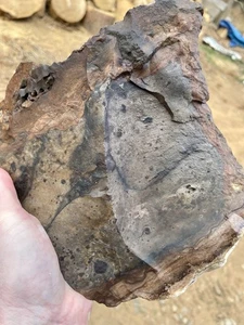 9,28 Pfund blauer Biggs Bild Jaspis Lapidar grob aus Biggs, Oregon - Bild 1 von 5