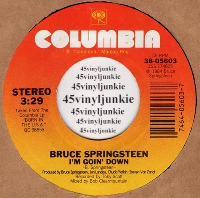 Bruce Springsteen NM 45 rpm "I'm Goin' Down" b/w "Janey, Don't You Lose Heart" - Image 1 of 2