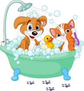 Itchy Skin Relief Shampoo for Dogs and Cats - Picture 1 of 2