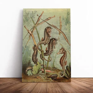Vintage Natural History Seahorses & Pipefish Canvas Wall Art Print Framed Decor - Picture 1 of 7