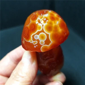 Raro 75.3G Natural Gobi ojos de ágata ágata/hongo de piedra Madagascar BA1474 - Imagen 1 de 12