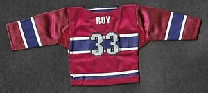 PATRICK ROY 2006-07 UPPER DECK MINI HOME JERSEY MONTREAL CANADIENS 06-07 - Picture 1 of 2