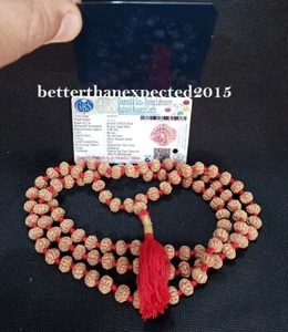 6 Mukhi Rudraksha / Seis Caras Rudraksh Mala - 109 Cuentas Talla 8 mm ~ Certificado de Laboratorio - Imagen 1 de 4