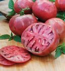 CHEROKEE PURPLE Beefsteak Tomato Indeterminate Heirloom Non-GMO 50+ seeds USA