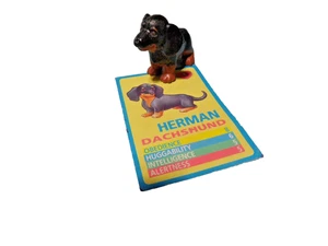Welpe in meiner Tasche MEG Plus Karte Hermann Dackel #1 - Bild 1 von 2