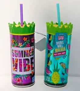 Dos (2) botellas de bebida aisladas de doble pared de 16 oz - ambiente y fruta de verano - Imagen 1 de 1