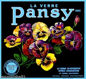 La Verne Lordsburg Pansy Flores Naranja Cítricos Caja de Frutas Etiqueta Estampado Artístico - Imagen 1 de 1