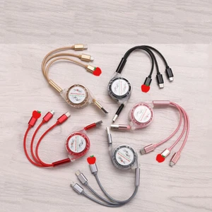 3 in 1 Charger Cable IOS 1m Lead For Apple iPhone iPad/TypeC/Micro Telescoping - Photo 1 sur 18