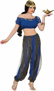 Adult Arabian Dark Harem Dancer Costume Standard