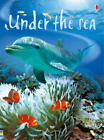 Under The Sea (Usborne Beginners), Patchett, Fiona, Good Condition, Isbn 9780746
