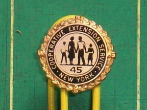 Black & Gold Tone Cooperative Extension of New York Pin 45 Year Service Years - Picture 1 of 2