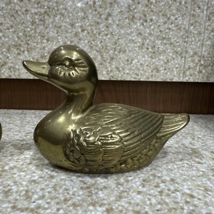 Fruitz Brass The Very Finest Duck Paperweight Statue Art ~ Korea Set Of 2 - Picture 1 of 7