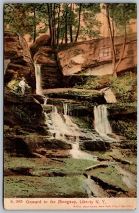 Vecchia cartolina vintage Liberty New York NY Mongaup Falls Waterfall 1907 vista - Foto 1 di 2
