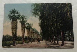 Magnolia Avenue, Riverside, California. Postcard (J2) - Imagen 1 de 2
