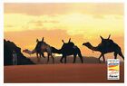 Postcard Algerien Algeria Algerie Sahara Desert Wüste Kamel camel Karawane AK pc