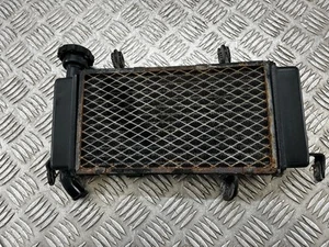 Benelli Leoncino 125 2023 radiator 2022 - 2024 - Picture 1 of 10