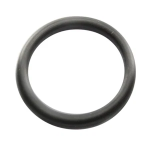 O-Ring for Heater Inlet Pipe for Holden Commodore VS VT VX VY 3.8L V6 Ecotec - Picture 1 of 3