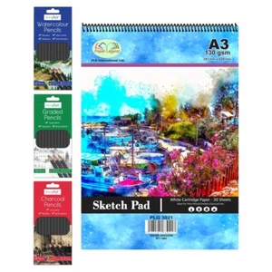 A3 Wiro Bound Sketch Books With Charcoal Graded Water Colour Pencils Set Artist - Picture 1 of 31