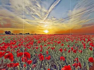 Panel de cerámica de mosaico de campo de amapola al atardecer pintura salpicadero azulejo - Imagen 1 de 7