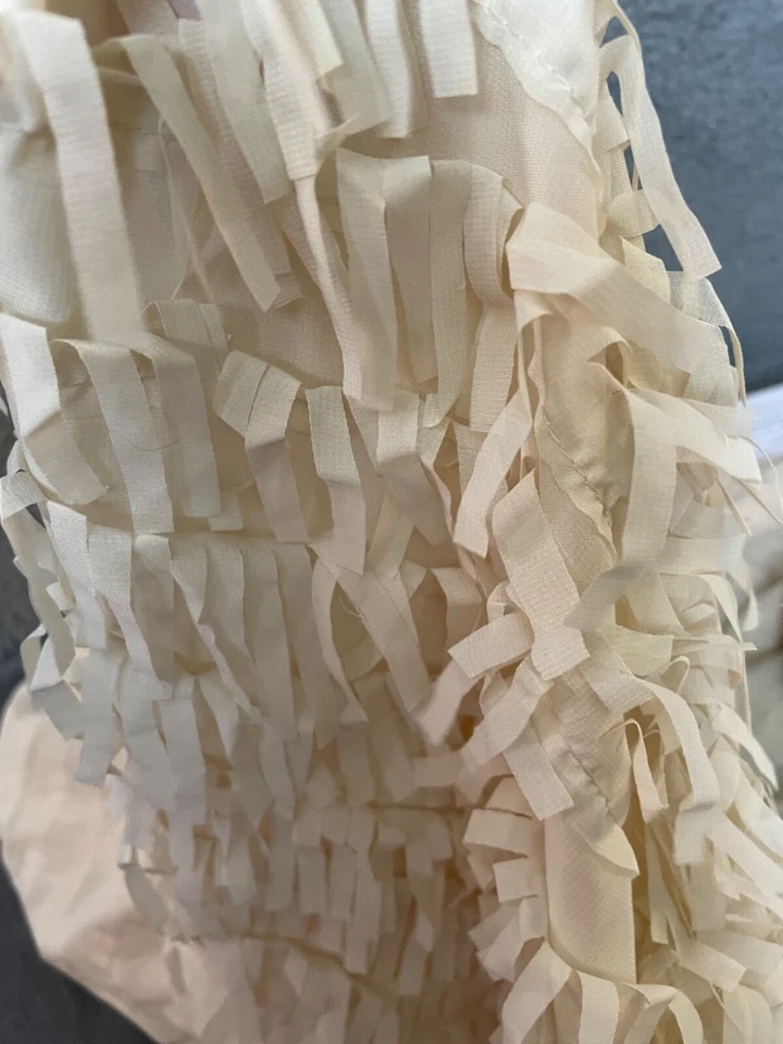 Lote de tela 2 yardas 56 W ropa corte láser beige vainilla flecos organza transparente Foto 1 de 4
