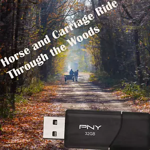 Pferde- und Kutschenfahrt durch den Wald (Entspannungs- & Schlafhilfe) auf 16GB USB - Bild 1 von 1