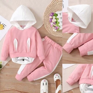 Toddler Kids Baby Girl Clothes Patchwork Hooded Tops Pants Trouser Set Outfits - Picture 1 of 9