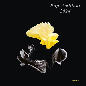 Various Artists Pop Ambient 2024 (Vinyl) 12" Album - Picture 1 of 1