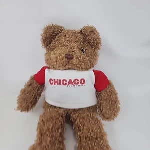 Steven Smith Chicago der musikalische Teddybär braun Plüschtier 12 Zoll Stofftier - Bild 1 von 4