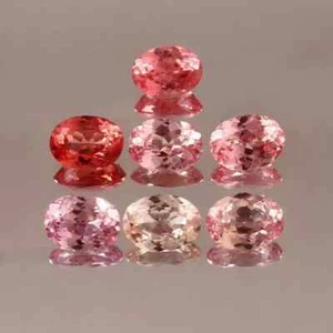 Lote de 6-8 piezas de piedras preciosas de zafiro natural Padparadscha de 70 quilates corte ovalado certificado - Imagen 1 de 6