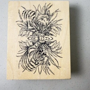 Kitten/Tiger Reflection in Water~Brave~4"X 5"~Rubber Stamp~The Rubber Cafe L1219 - Picture 1 of 9