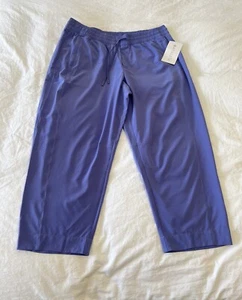 Athleta | Women’s SZ 14 Petite | Arrival Pant Blue Purple Ankle Straight NWT - Picture 1 of 8