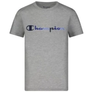 Champion Boys Grey Crew Neck Short Sleeve Blue Script Logo T-Shirt Tee, Size 7 - Picture 1 of 6