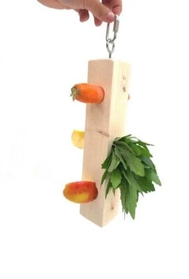 OLLESCH Nager - Futterbaum zum Hängen 37x6x6cm - Spielzeug Beschäftigung Kleintiere