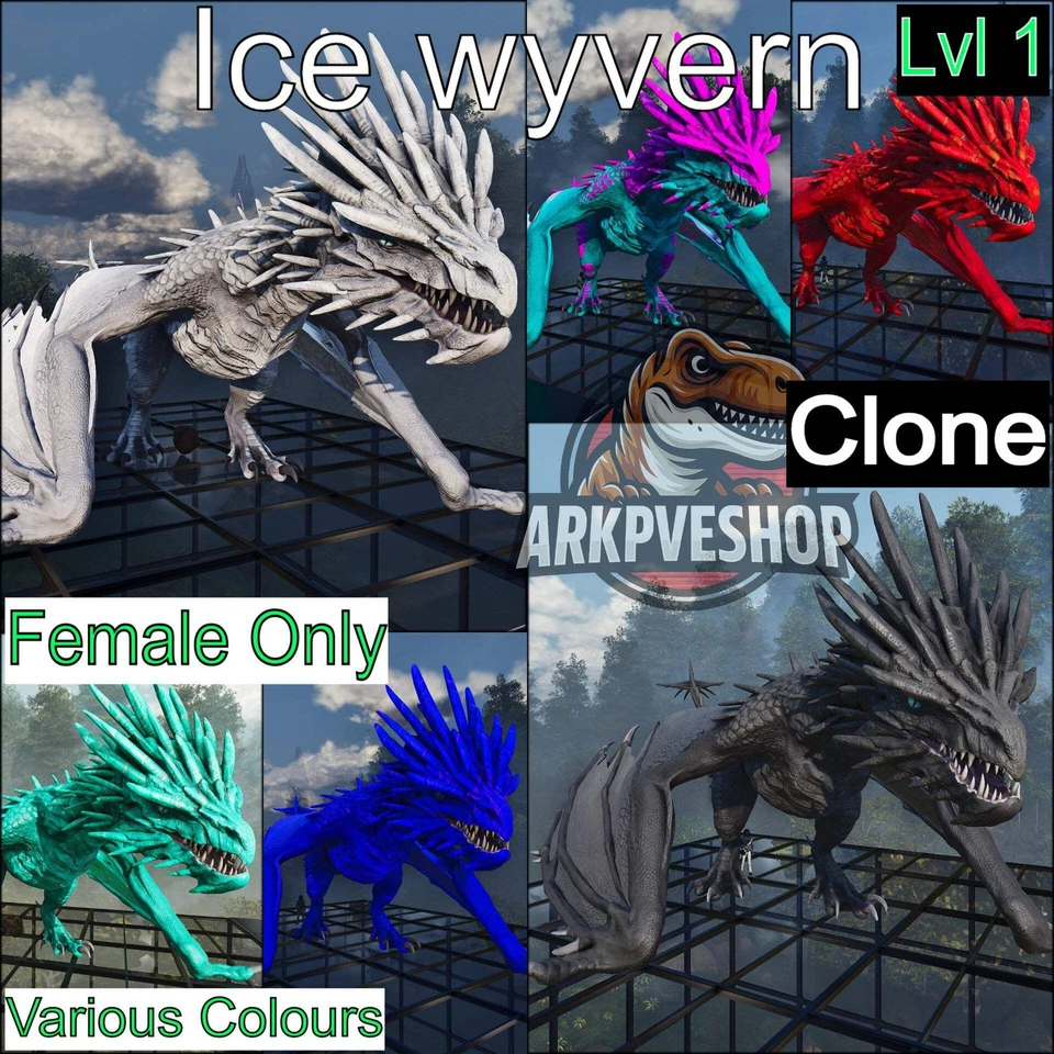 ASA🦖Ark Survival Ascended Pve Ice wyvern Lvl 1 Clone