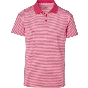BCG Men's Golf Collared Short Sleeve Polo Shirt in Raspberry Stripe Medium - Picture 1 of 6