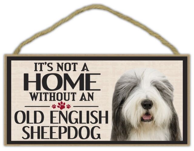 Akita americano y viejo pastor ingles!!!  Old english sheepdog, English  sheepdog, Dog lovers