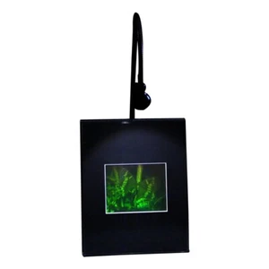 HOLOGRAMA DE MARIPOSA 3D IMAGEN SOPORTE DE ESCRITORIO ILUMINADO Película tipo haluro plateado - Imagen 1 de 7