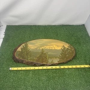 Mid 20th Century Snowy Cap Mountain Lake  Landscape Tree Slab Wall Art 17x9 - Picture 1 of 7