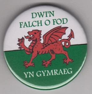 DWI'N FALCH O FOD YN GYMRAEG slogan badge - 'Welsh and Proud' language flag pin - Picture 1 of 1