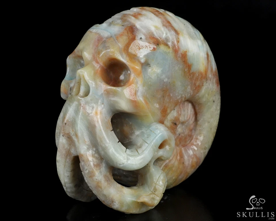 Escultura de calavera de cristal Nautiloide Cthulhu tallada a mano amazonita china de 5,7" Foto 1 de 4