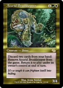 1x   Anurid Brushhopper Judgment   card MTG Magic the Gathering  - Picture 1 of 1
